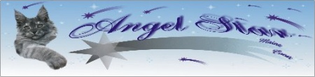 banner_angelstar