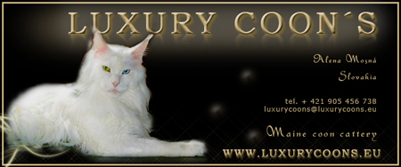 banner_luxurycoons