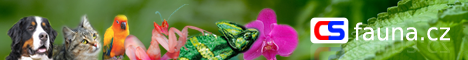 fullbanner_csfauna