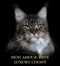 mon-amour-reve02