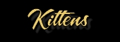 Kittens 