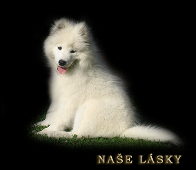 lasky